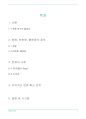 한류의 세계화 (콘텐츠비즈니스전략 A+)  2페이지