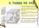 교육심리학/지능과 창의성 20페이지
