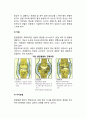 [관절염] 골관절염과 류마티스관절염의 원인과 증상 및 치료방법, 식사요법(식이요법) - 만성관절염 치료 3페이지