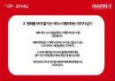 콜드스톤 마케팅 분석(SWOT 분석,SPT, 마케팅 전략 및 분석) 28페이지