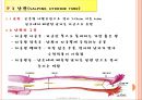 여성생식기(대음순,소음순,음핵,질전정,질,자궁,난소,난관등등) A++++++ 19페이지