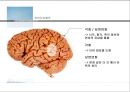 인지신경심리학_언어의 산출과 이해 및 언어장애 10페이지