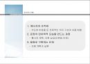 인지신경심리학_언어의 산출과 이해 및 언어장애 13페이지