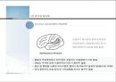 인지신경심리학_언어의 산출과 이해 및 언어장애 23페이지