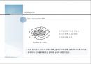 인지신경심리학_언어의 산출과 이해 및 언어장애 24페이지