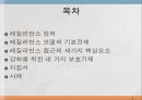 레질리언스모델, Reilience model, 레질리언스정의, 레질리언스모델의기본전제, 레질리언스접근의 핵심요소, 레질리언스 사례, 레질리언스 보호기제 3페이지