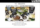 러쉬 마케팅[LUSH Marketing][WE BELIEVE.LUSH PRIDE] 13페이지