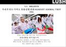 러쉬 마케팅[LUSH Marketing][WE BELIEVE.LUSH PRIDE] 17페이지