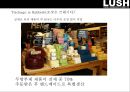 러쉬 마케팅[LUSH Marketing][WE BELIEVE.LUSH PRIDE] 21페이지