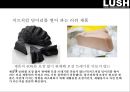 러쉬 마케팅[LUSH Marketing][WE BELIEVE.LUSH PRIDE] 22페이지