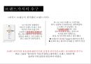 Virgin Group 성공요인 CEO 리처드 브랜슨 즐거움을 파는 회사 17페이지