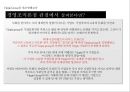 Virgin Group 성공요인 CEO 리처드 브랜슨 즐거움을 파는 회사 30페이지
