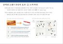 브랜드 아이덴티티 디자인전략[Brand Identity Design Strategy]&성공사례[IBM.FedEx.Absolut Vodka] 7페이지