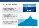 브랜드 아이덴티티 디자인전략[Brand Identity Design Strategy]&성공사례[IBM.FedEx.Absolut Vodka] 13페이지