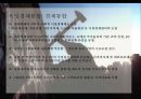 독일의 통일정책- 경제통합중심으로 14페이지