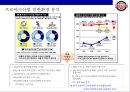 두산베어즈의 마케팅전략 & 전력분석 15페이지