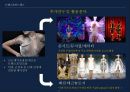 공연의 품격을 높여주는 공연무대 매커니즘[뮤지컬 “투란도트”중심으로] 32페이지