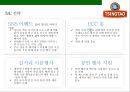 칭다오맥주 마케팅전략 TSINGTAO beer Marketing Strategy 34페이지