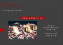 피나바우쉬의 무용세계[pina bausch] 20페이지