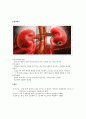 A++++ 급성신장질환(Acute renal disease) 케이스: 연구의 필요성부터 ~ 문헌고찰,간호과정, 간호사정, 간호진단 2페이지
