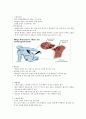 A++++대퇴골 전자간 골절(femur intertrochantertic fx) 케이스: 연구의 필요성부터 ~ 문헌고찰,간호과정, 간호사정, 간호진단 2페이지