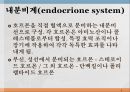 내분비계약물, endocrione system, 갑상선기능저하증, 항이뇨호르몬, 옥시토신, 항당뇨병약, 에스트로겐, 프로게스테론, 골다공증, 갑상선기능항진증, 부갑상선기 3페이지