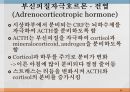 내분비계약물, endocrione system, 갑상선기능저하증, 항이뇨호르몬, 옥시토신, 항당뇨병약, 에스트로겐, 프로게스테론, 골다공증, 갑상선기능항진증, 부갑상선기 26페이지