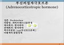 내분비계약물, endocrione system, 갑상선기능저하증, 항이뇨호르몬, 옥시토신, 항당뇨병약, 에스트로겐, 프로게스테론, 골다공증, 갑상선기능항진증, 부갑상선기 27페이지