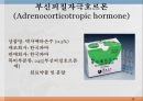 내분비계약물, endocrione system, 갑상선기능저하증, 항이뇨호르몬, 옥시토신, 항당뇨병약, 에스트로겐, 프로게스테론, 골다공증, 갑상선기능항진증, 부갑상선기 28페이지