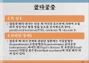 내분비계약물, endocrione system, 갑상선기능저하증, 항이뇨호르몬, 옥시토신, 항당뇨병약, 에스트로겐, 프로게스테론, 골다공증, 갑상선기능항진증, 부갑상선기 60페이지