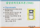 내분비계약물, 뇌하수체전엽호르몬, 성장호르몬, 갑상선자극호르몬, 부갑상선호르몬, 부신피질호르몬, 항이뇨호르몬, oxitocin, 당뇨병약, 성호르몬약, 골다공증약 11페이지