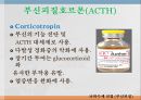 내분비계약물, 뇌하수체전엽호르몬, 성장호르몬, 갑상선자극호르몬, 부갑상선호르몬, 부신피질호르몬, 항이뇨호르몬, oxitocin, 당뇨병약, 성호르몬약, 골다공증약 20페이지