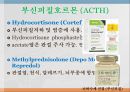 내분비계약물, 뇌하수체전엽호르몬, 성장호르몬, 갑상선자극호르몬, 부갑상선호르몬, 부신피질호르몬, 항이뇨호르몬, oxitocin, 당뇨병약, 성호르몬약, 골다공증약 26페이지