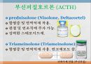 내분비계약물, 뇌하수체전엽호르몬, 성장호르몬, 갑상선자극호르몬, 부갑상선호르몬, 부신피질호르몬, 항이뇨호르몬, oxitocin, 당뇨병약, 성호르몬약, 골다공증약 27페이지