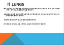 아동의신체사정, 귀신체사정, 코신체사정, 입신체사정, 인후신체사정, 가슴신체사정, 폐신체사정, 심장신체사정, 정상심잡음 22페이지