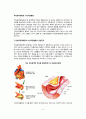 [죽상동맥경화증, 이상지질혈증] 죽상동맥경화증과 이상지질혈증의 위험인자 및 치료방법(영양치료 및 약물치료) 2페이지