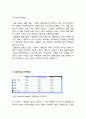 [ 다음 Daum 경영,마케팅사례연구 ] Daum 다음 기업분석과 SWOT분석및 다음 마케팅전략과 경영전략 사례분석과 다음 향후전략제안 및 시사점연구 10페이지