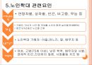 노인간호, 노인학대, 임종, 사별 11페이지