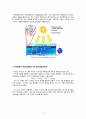 Mass Transfer modeling  for Fabrication  of titanium-oxide-based solar panels 3페이지