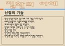 [의료사회복지] 신장질환, 신장기능, 급성신부전증, 만성신부전증, 만성신부전사례, 신부전문제, 신장질환환자와 사회복지사, 신부전간호 3페이지