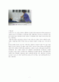 퇴행성관절염 Osteoarthritis 레포트 10페이지