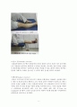 퇴행성관절염 Osteoarthritis 레포트 11페이지