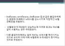 brain surgery 와 마취 35페이지