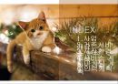 ★ 벤처창업론 - 사업계획서 ( 반려동물호텔 ) 2페이지