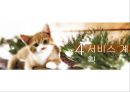 ★ 벤처창업론 - 사업계획서 ( 반려동물호텔 ) 10페이지