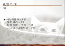 ★ 벤처창업론 - 사업계획서 ( 반려동물호텔 ) 16페이지