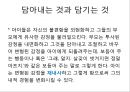 정신분석의 역전이에 관하여(대학원 발표자료) 6페이지