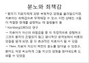 정신분석의 역전이에 관하여(대학원 발표자료) 11페이지