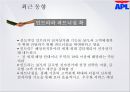 세계 3대 해운회사 APL 아메리칸 프레지던트 라인스   [American President Lines]  해운경영 34페이지