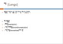 아동의신체사정, 귀신체사정, 코신체사정, 입신체사정, 인후신체사정, 가슴신체사정, 폐신체사정, 심장신체사정, 정상심잡음 12페이지